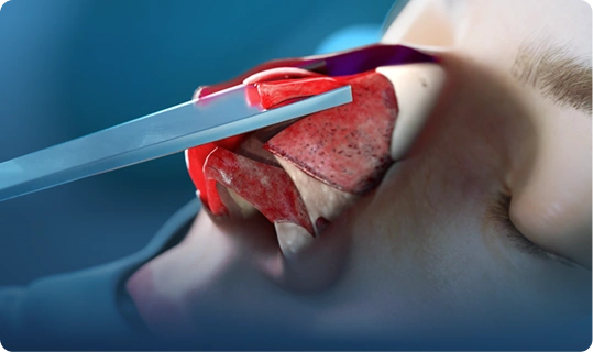 Clínicas y cirujanos plásticos