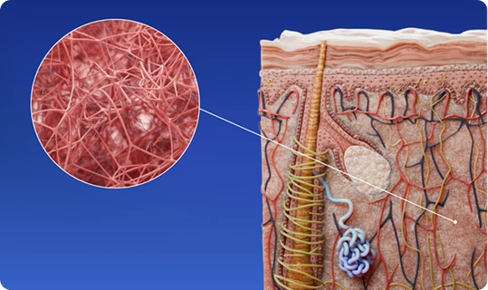 Clínicas de estética
