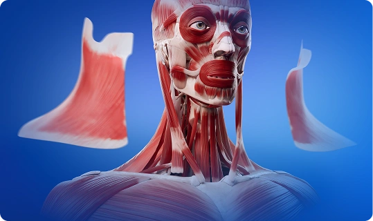 Instituciones educativas