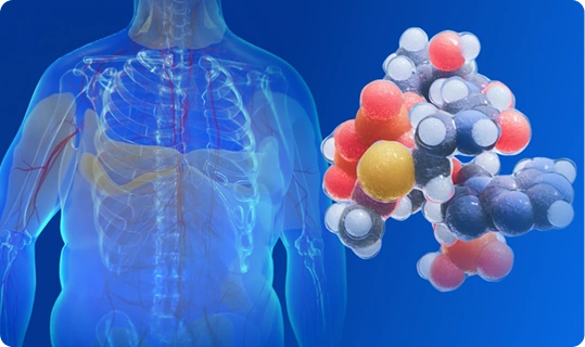 Agencias de marketing y publicidad