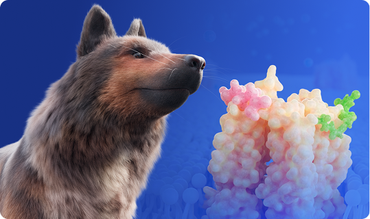 Animal health
