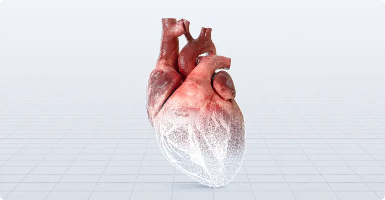 Integration of 3D content