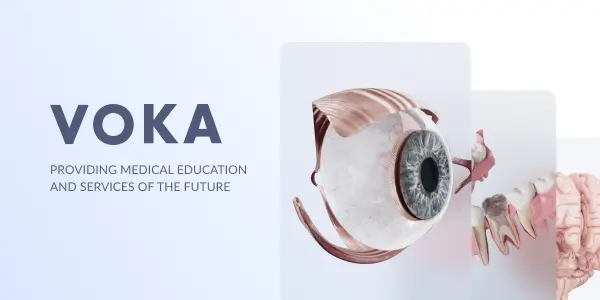 Interactive 3d Human Body Models Voka Interactive 3d Human Body Models Voka