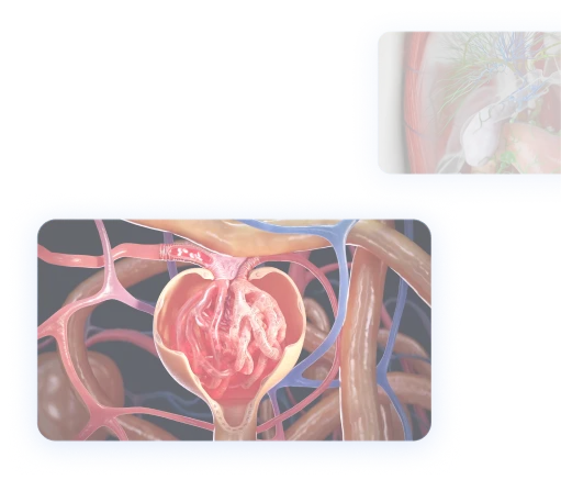 background right image