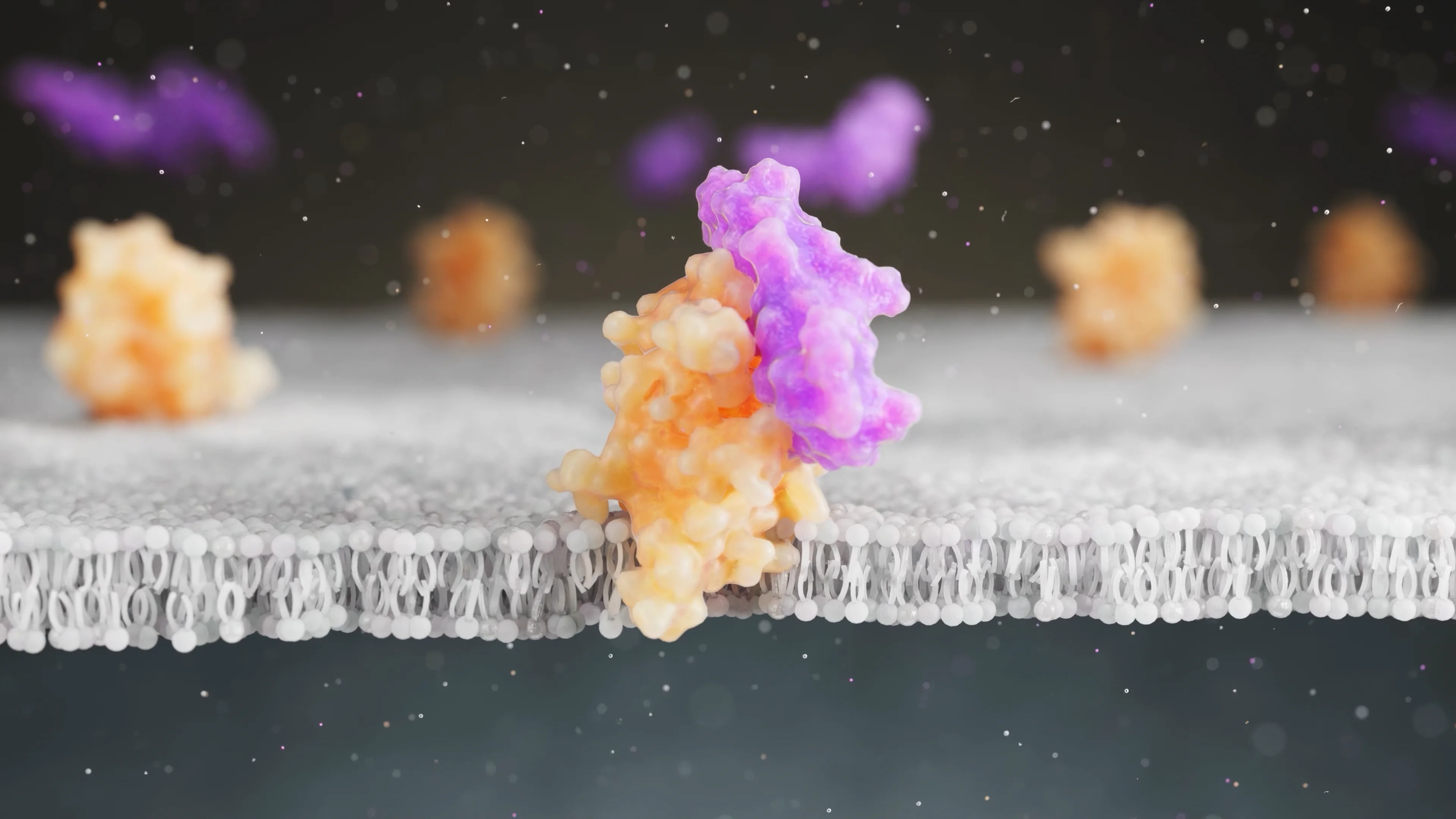A 3D animation frame illustrating the binding mechanism of a semaglutide molecule to a GLP-1 receptor embedded within a cell membrane lipid bilayer.