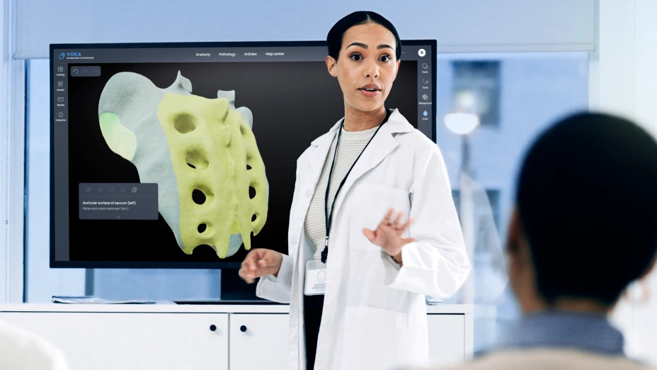 Teaching human anatomy with VOKA