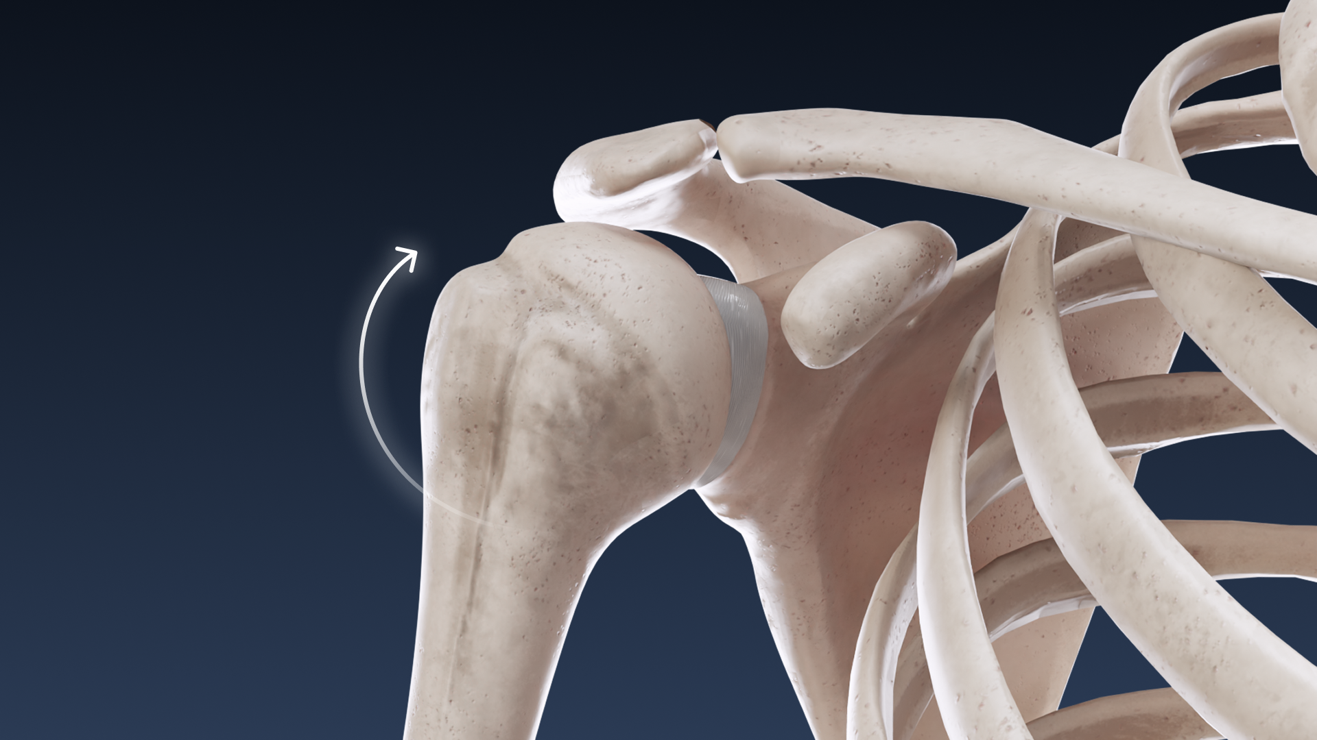 Shoulder movement in motion 