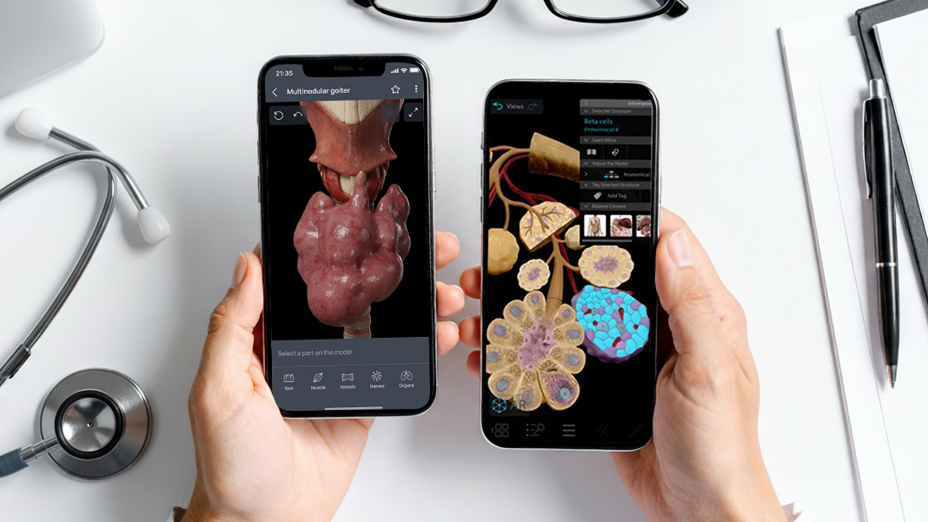 Detaillierte Funktionsanalyse: VOKA vs. Humaner Anatomie-Atlas