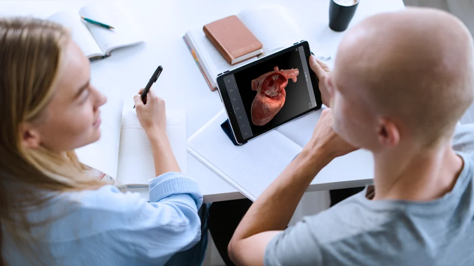 Cómo estudiar anatomía y fisiología para estudiantes de enfermería