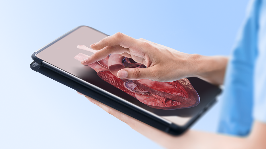 Visualisierung der Pathologie