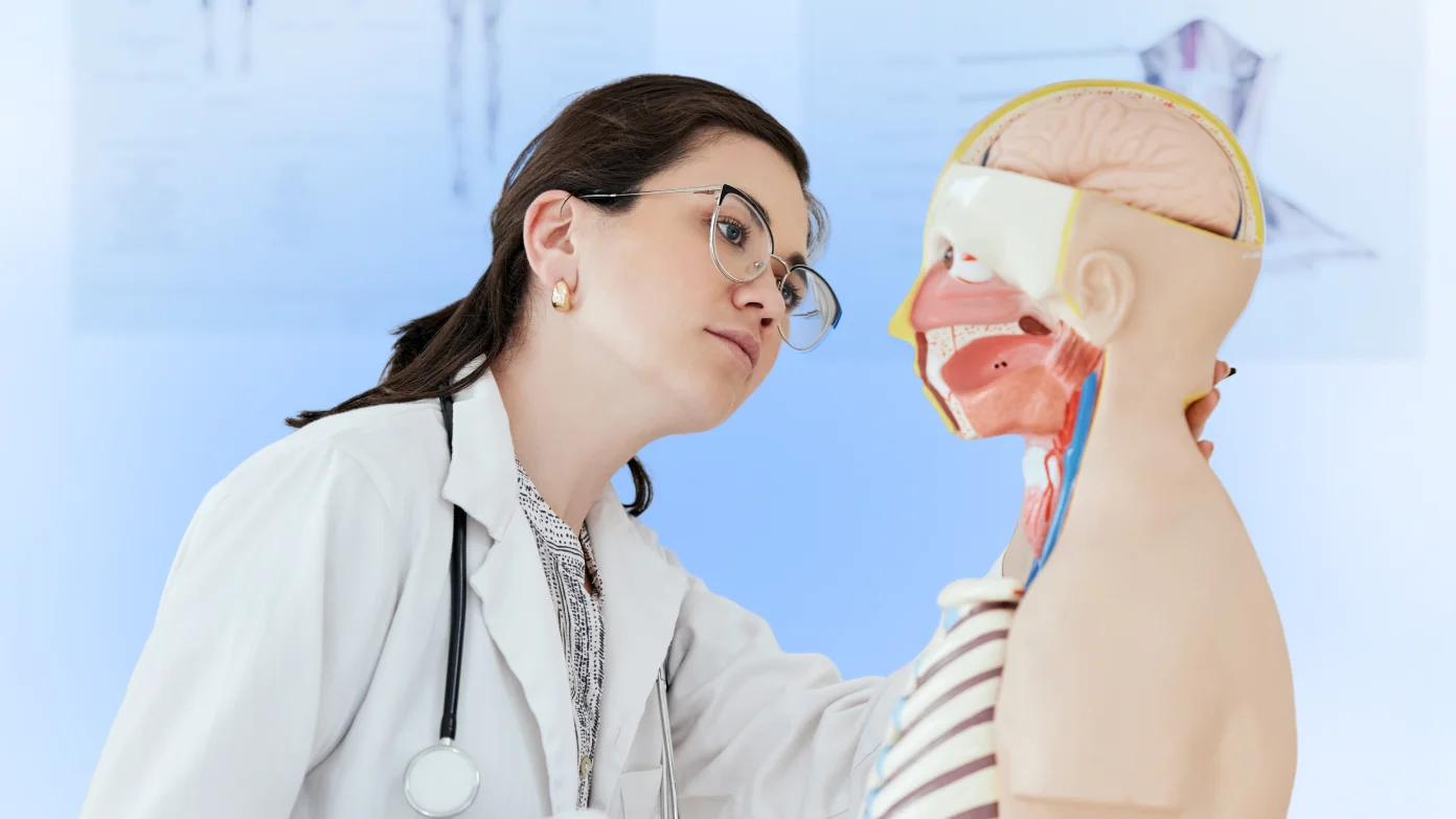 Best ways to memorize anatomy and physiology concepts: a step-by-step success plan