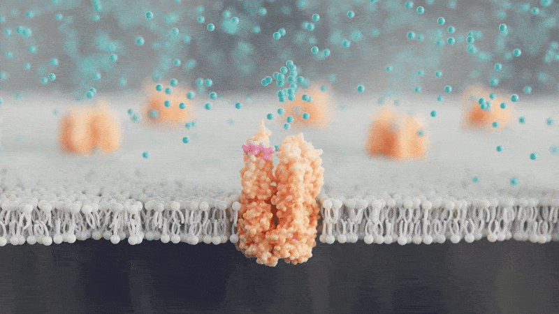 Une visualisation de marketing pharmaceutique de haute qualité montrant un mécanisme d'action biologique