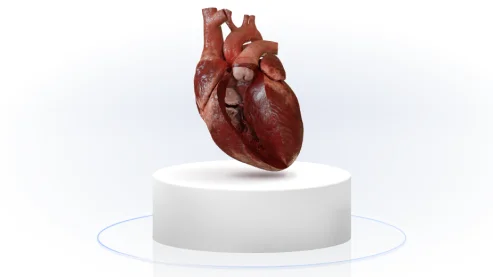 Top 3D medical animation companies & studios in 2025