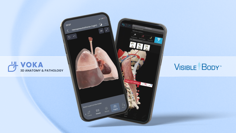 VOKA 3D Anatomie & Pathologie vs. Humaner Anatomie-Atlas: Welche App passt zu Ihren Bedürfnissen?