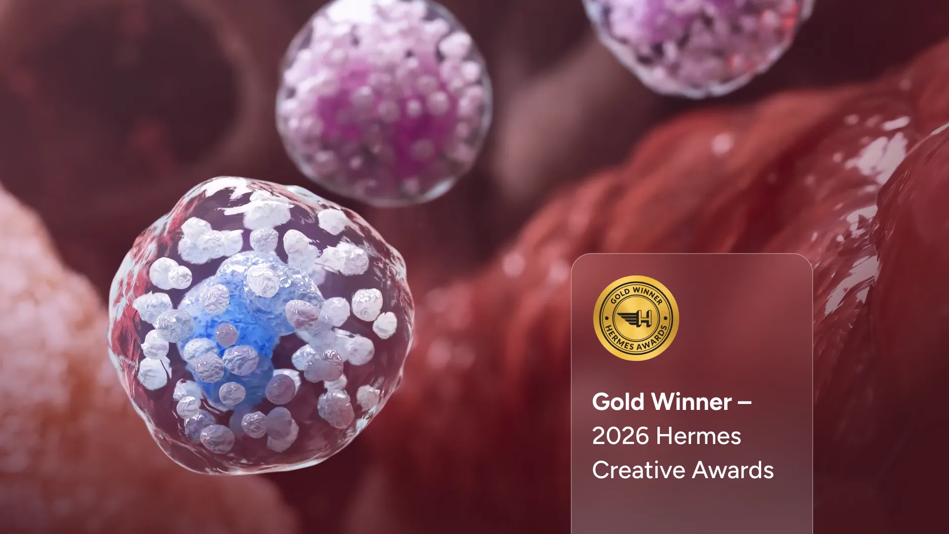Eine mikroskopische 3D-Visualisierung von Granulozyten im Blutkreislauf aus der Animation von VOKA, die eine Gold-Gewinner-Plakette der Hermes Creative Awards 2026 zeigt.