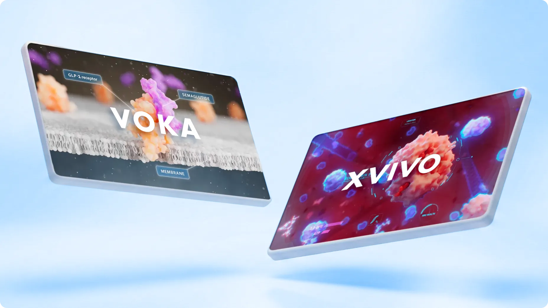 Vergleich VOKA vs. XVIVO: Welchen medizinischen Visualisierungspartner wählen Sie?