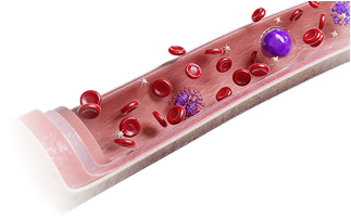 Download VOKA 3D Anatomy & Pathology