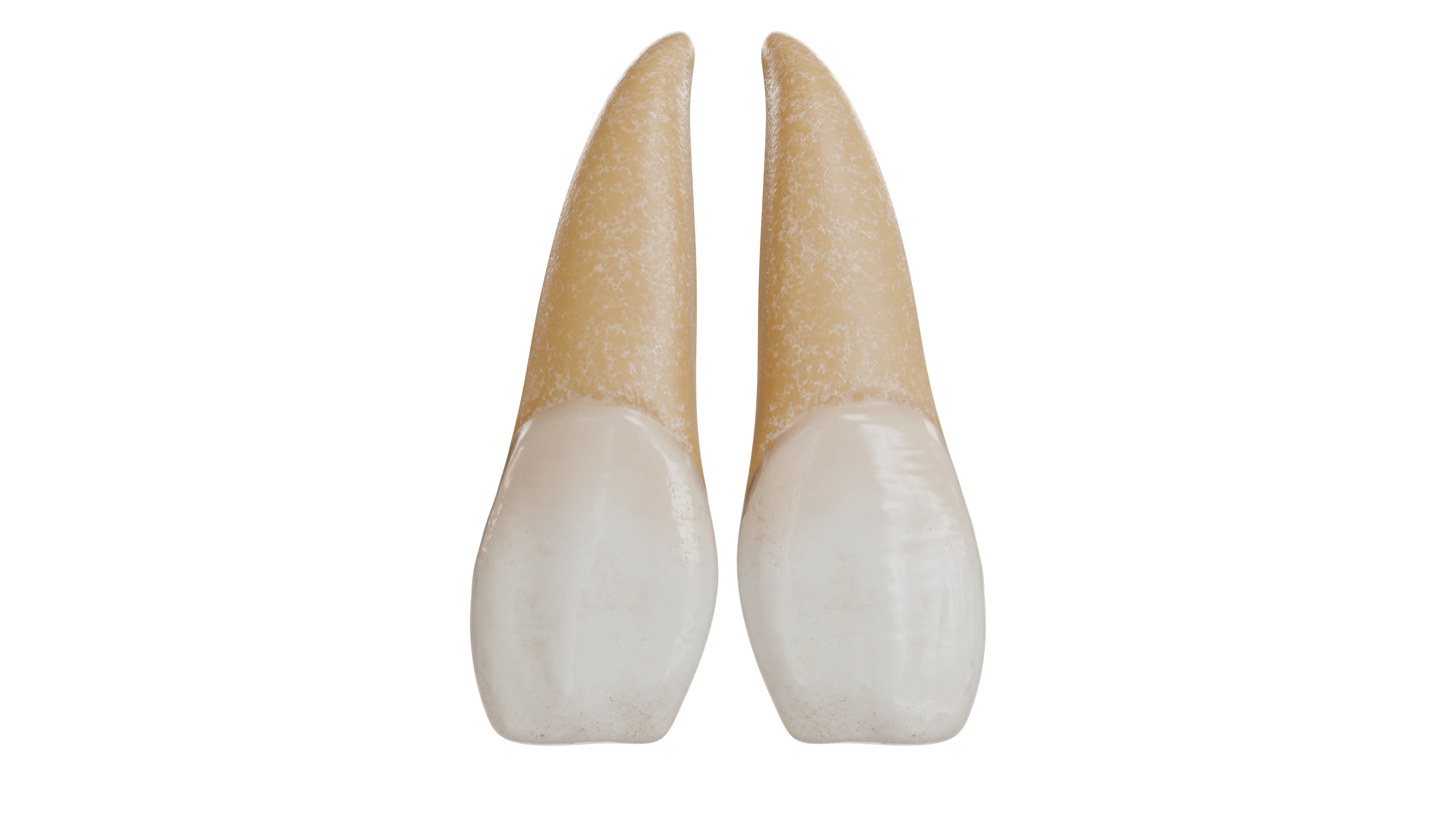 Резцы Фурнье