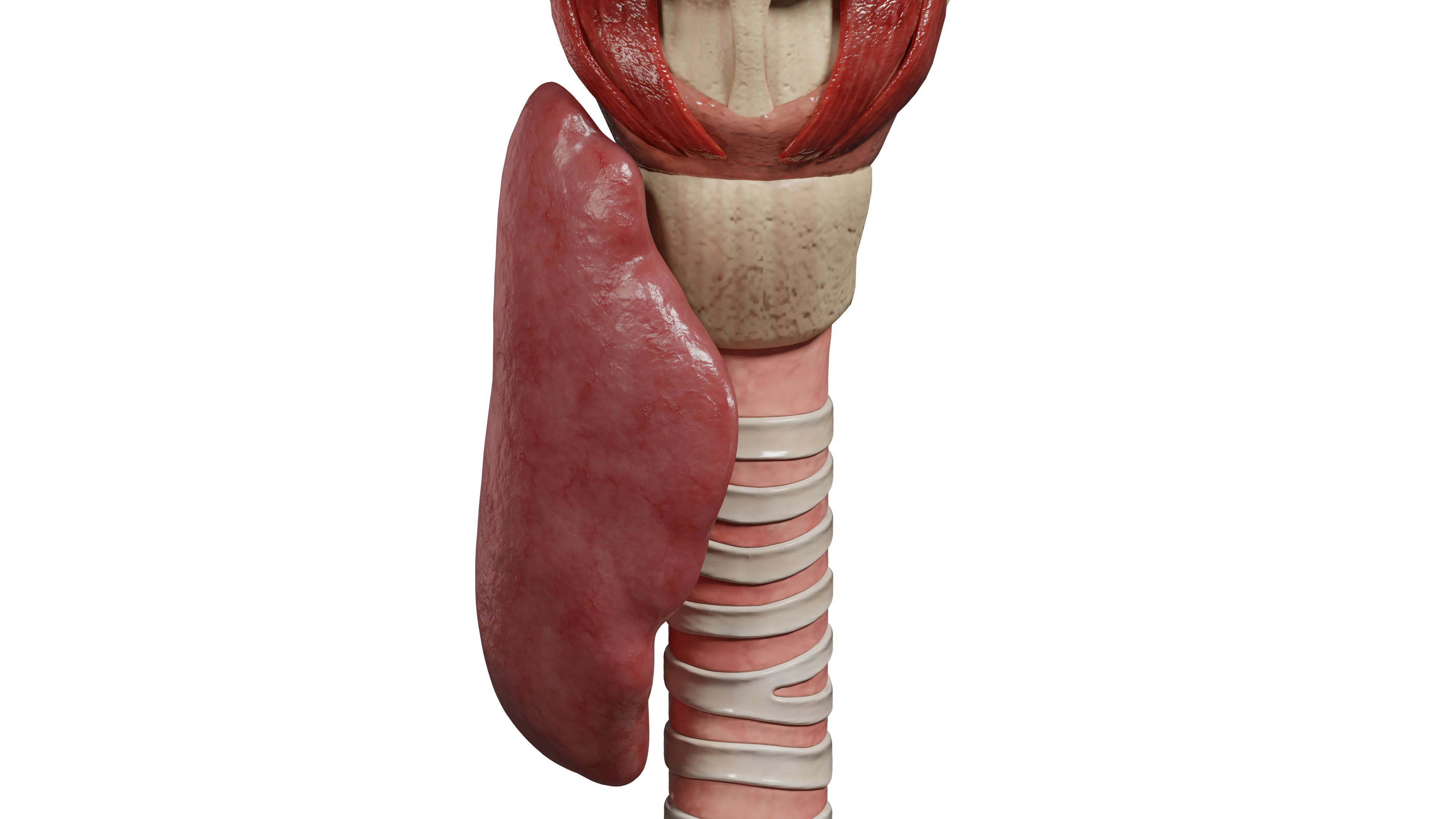 Послеоперационный гипопаратиреоз