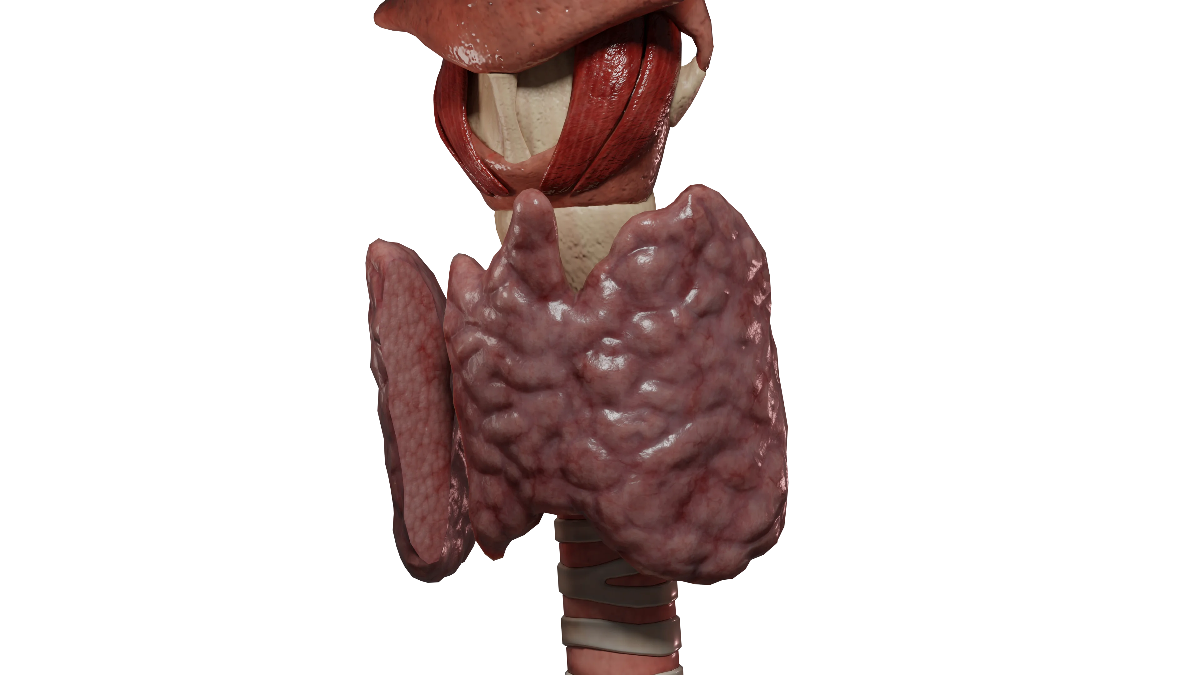 Гипотиреоз: классификация, клиническая картина, диагностика и лечение