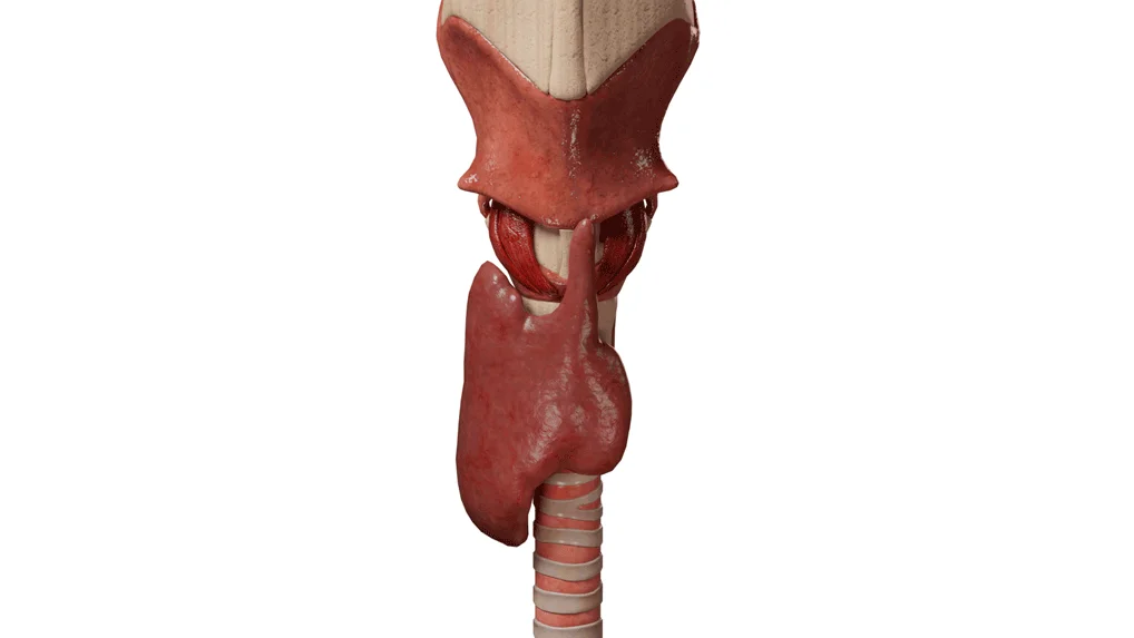 Anomalies of Thyroid Gland Development: Classification, Clinical Manifestations, Diagnosis and Treatment