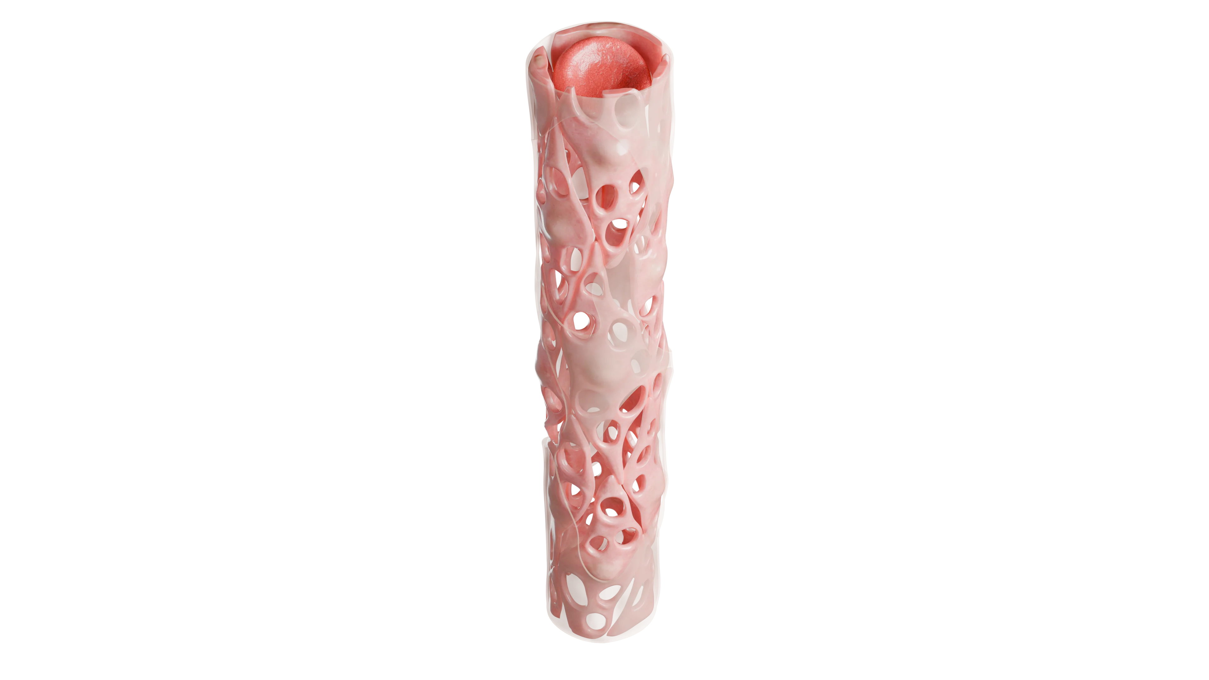 Синусоидальный (прерывистый) капилляр