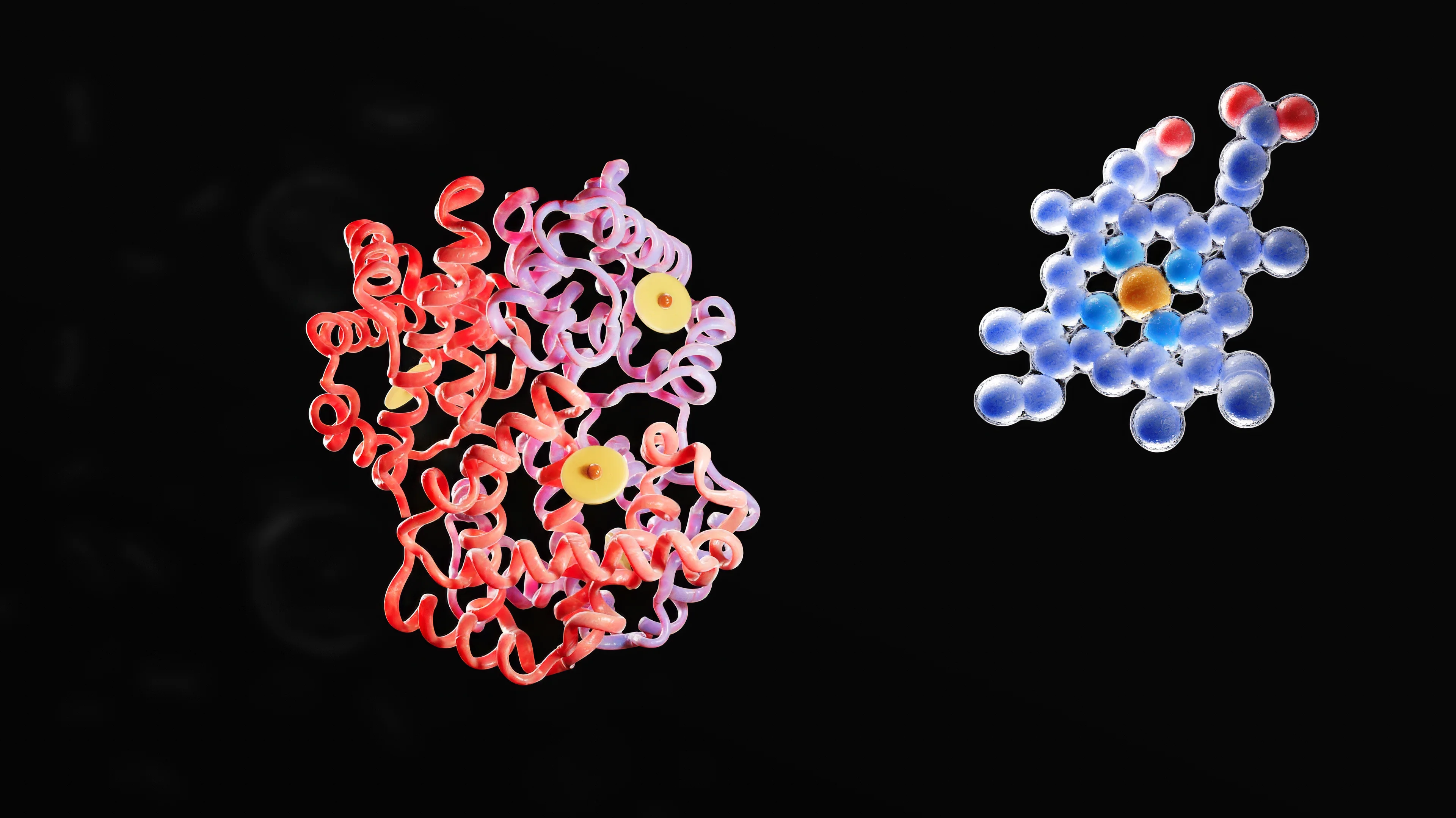 Изображение молекулы гемоглобина (слева) и гема (справа)