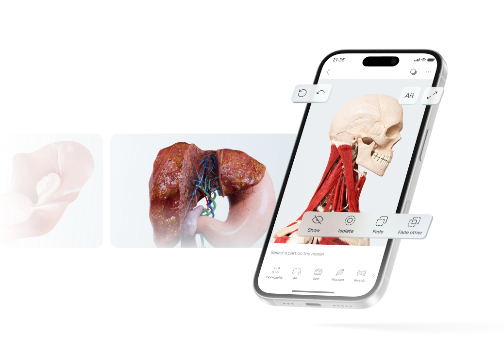 نظام VOKA البيئي