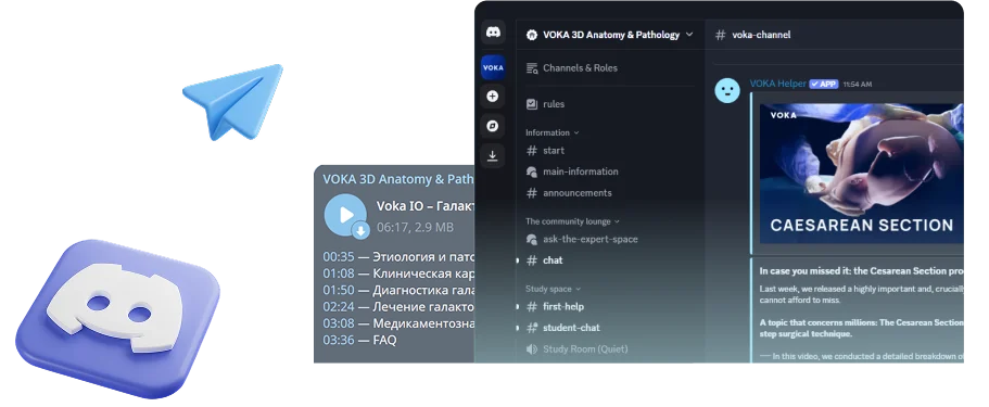 Присоединяйтесь к сообществу VOKA