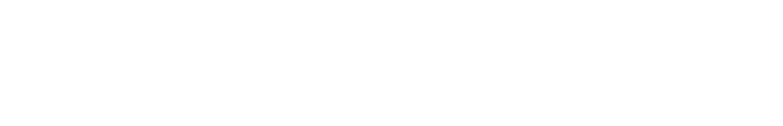 Gemini API