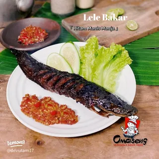 Lele Bakar