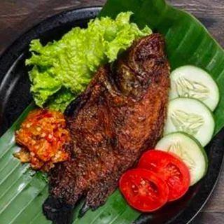 Nila Bakar