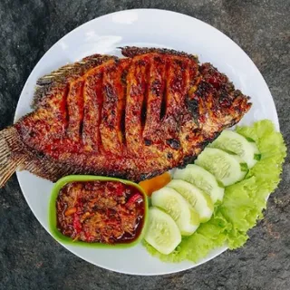 Nila Bakar