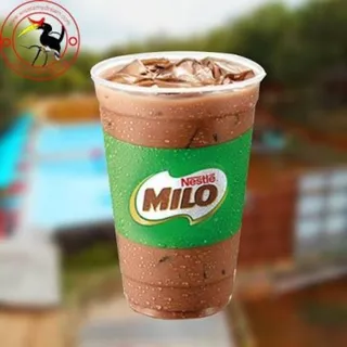 Milo Hangat/ Es