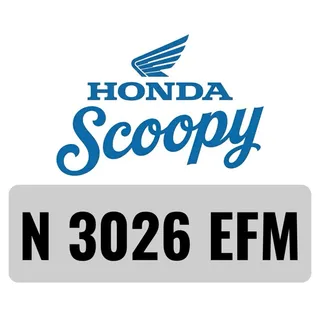 REG Number [N 3026 EFM]