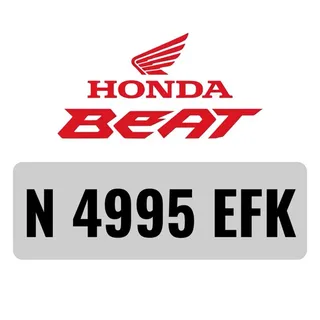 REG Number [N 4995 EFK]