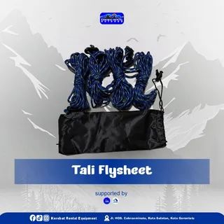 Tali Flyseeht