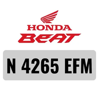 REG Number [N 4265 EFM]