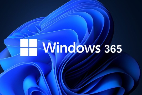 Windows 365 è ora disponibile per l’acquisto anche in Italia