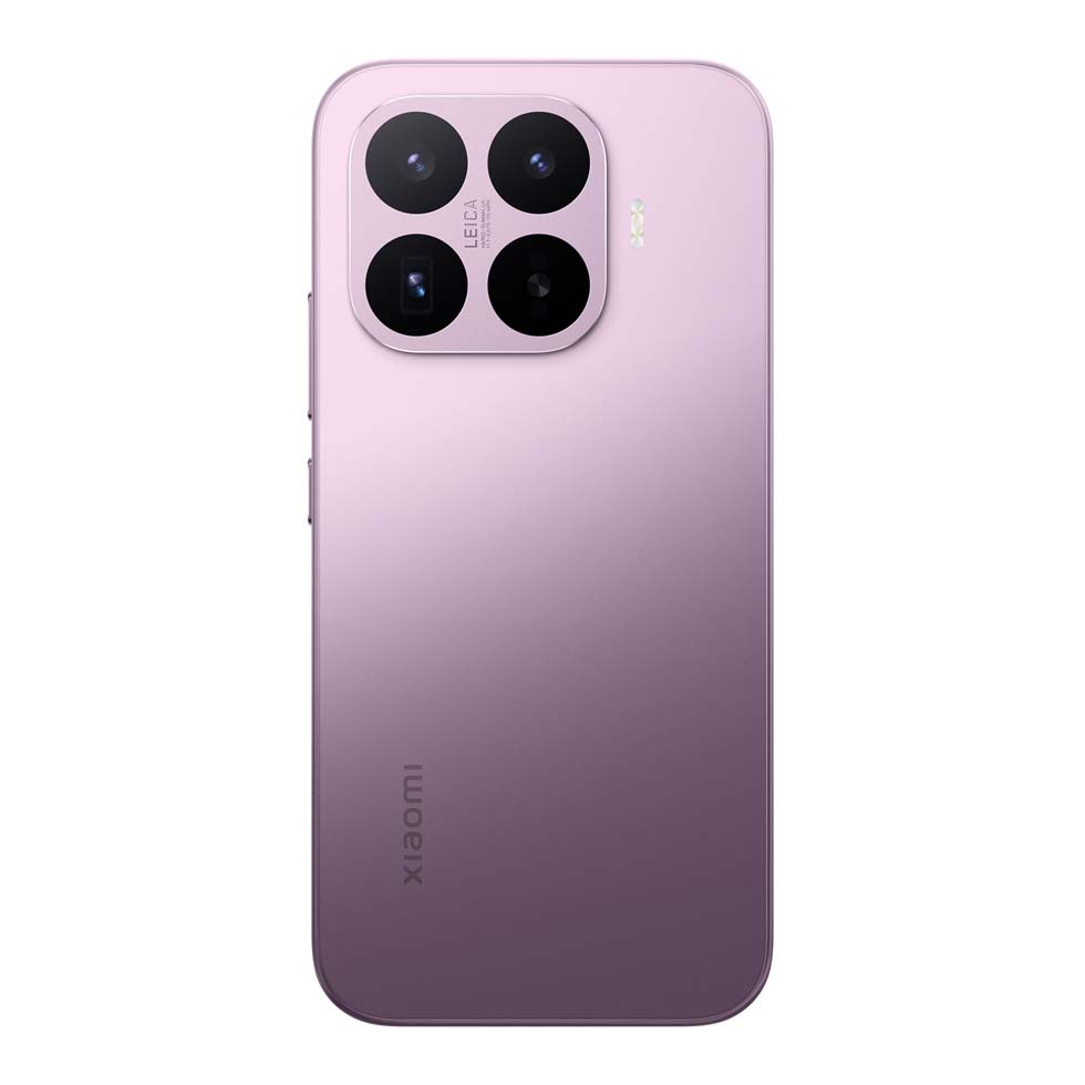 MORADO - imagen 3
