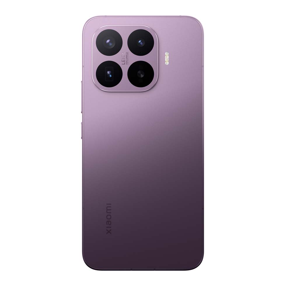 MORADO - imagen 3