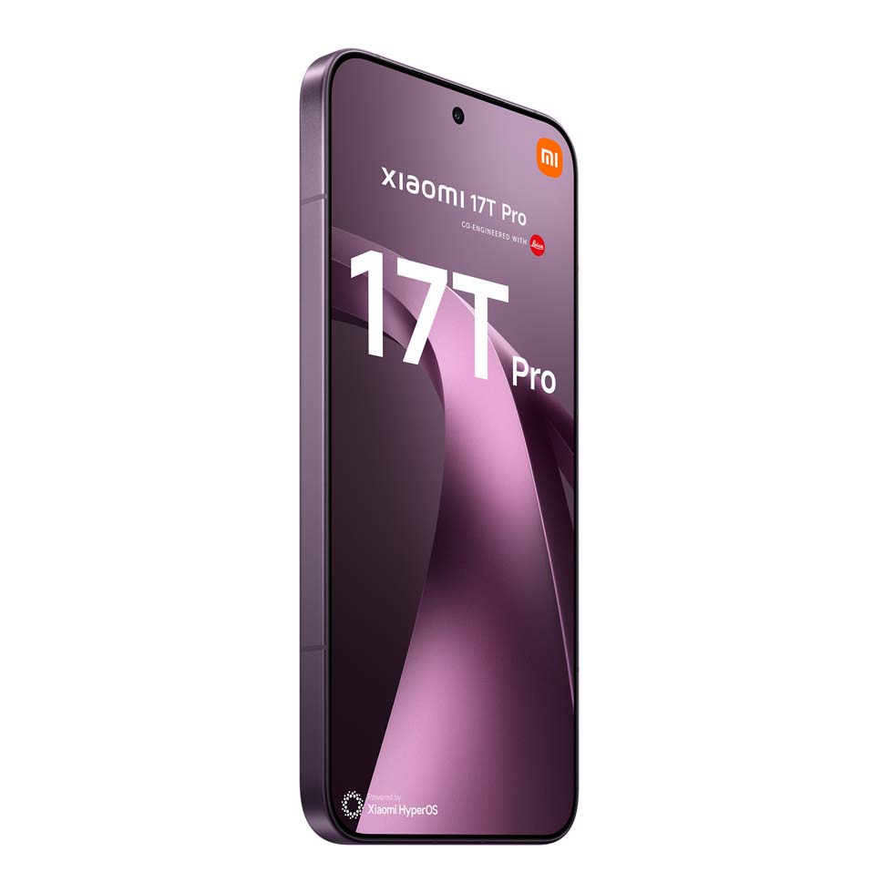 MORADO - imagen 4