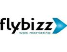 FlyBizz