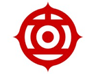 Hitachi Digital Services