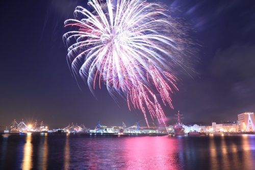 葛西 臨海 公園 花火