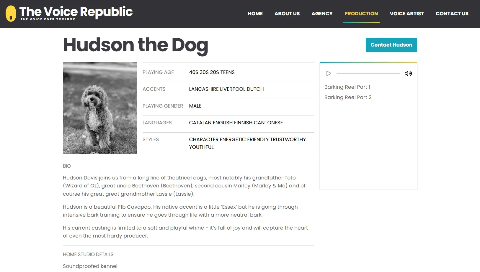 Example talent profile from our talent directory