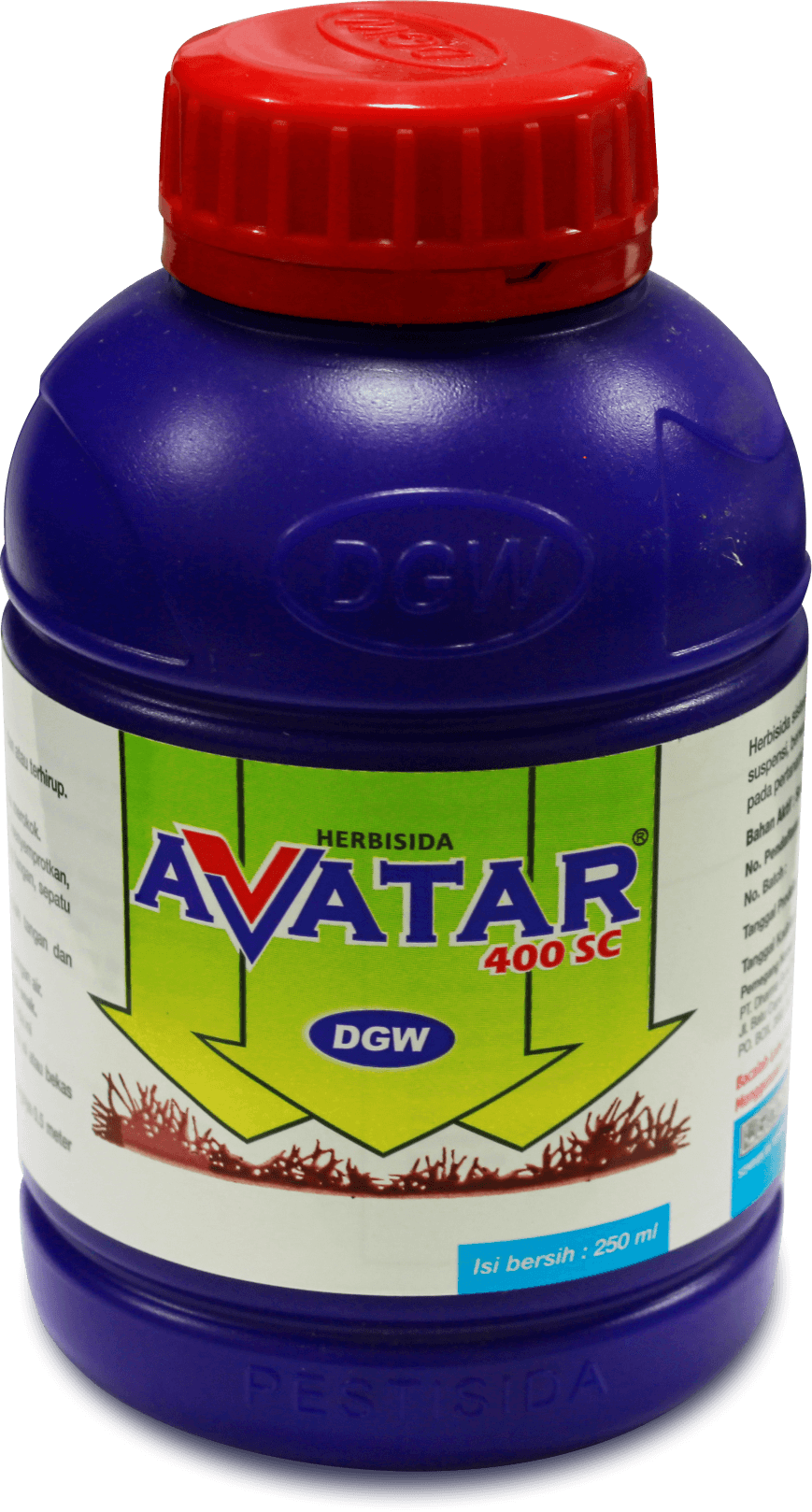 botol-avatar.png