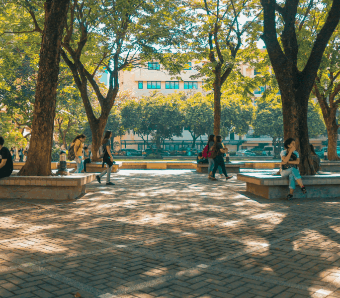 A park inside a university