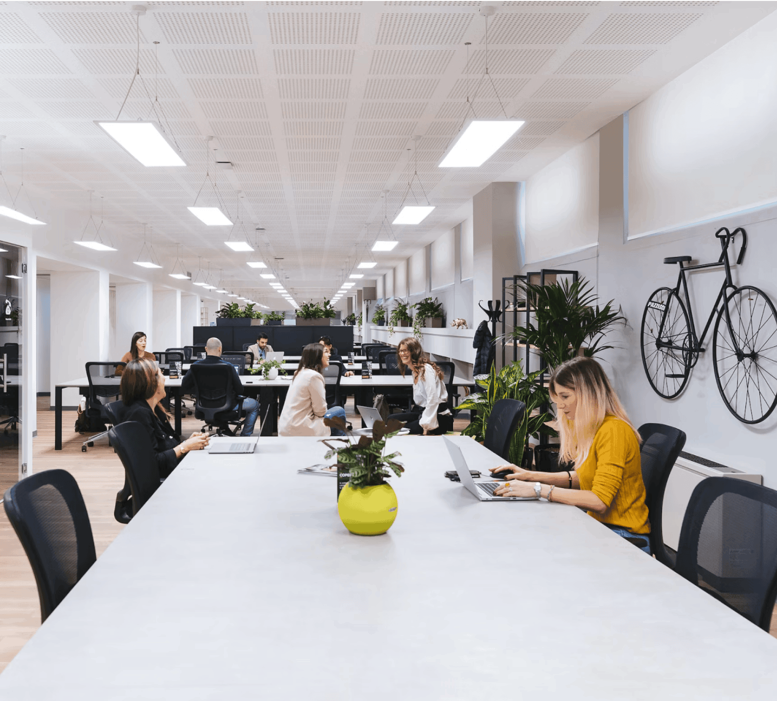 Dialpad connecting teams worldwide