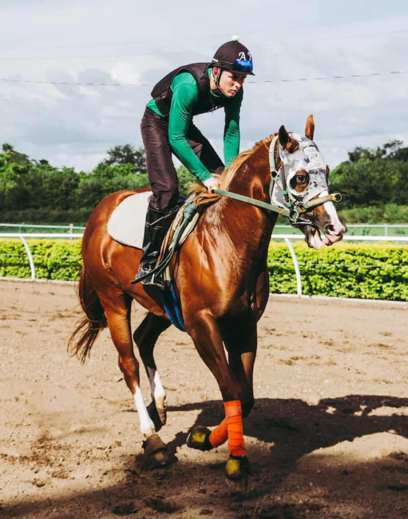 Jockey